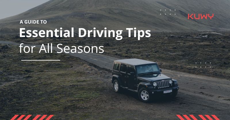 A Guide to the Essential Driving Tips for All Seasons